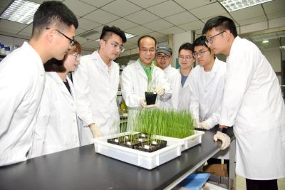 华中农业大学团队《Nature》发文  精准“打印”功能蛋白