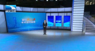 长江观察 湖北向上·半年经济观察 | 专家观点：活力湖北 彰显支点牵引带动力