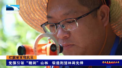 红旗党支部风采 | 党旗引领“精测”山林 锻造荆楚林调先锋