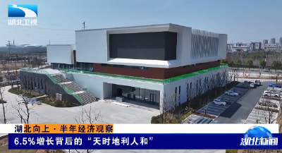 湖北向上·半年经济观察 | 6.5%增长背后的“天时地利人和”