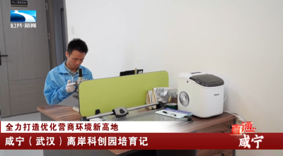 咸宁（武汉）离岸科创园培育记