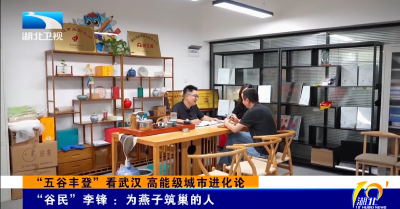 “五谷丰登”看武汉 高能级城市进化论 | “谷民”李锋 ：为燕子筑巢的人