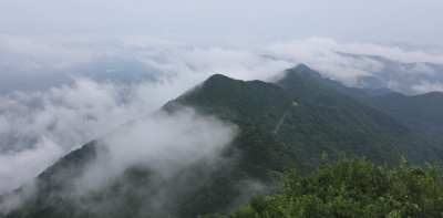 清凉一夏｜随州大洪山：绝美云海与巍峨山峦相映成趣