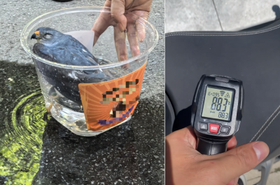 最高39.5℃！湖北未入伏为何这么热？降雨就在······