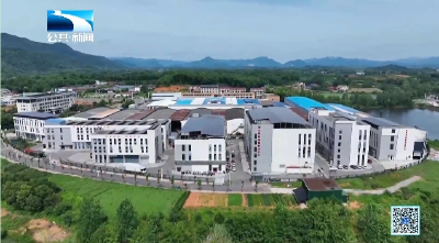 生态养殖促增收 | 掉秤10%价格反涨30% “瘦身”鳙鱼“游”出亿元产值