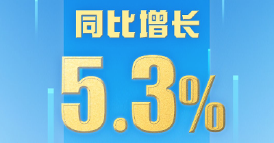 上半年国内生产总值660536亿元 同比增长5.3%