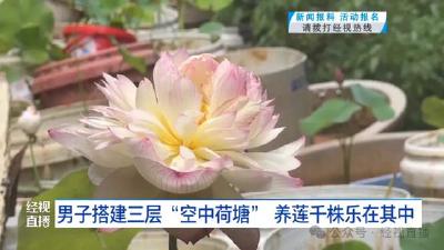武汉一男子养1000余株莲花，建三层空中荷塘！