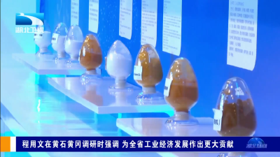 程用文在黄石黄冈调研时强调 为全省工业经济发展作出更大贡献