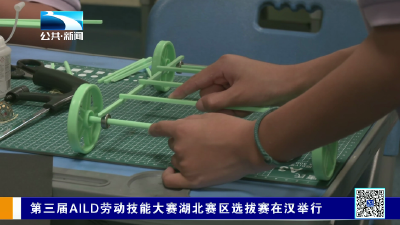 第三届AILD劳动技能大赛湖北赛区选拔赛在汉举行