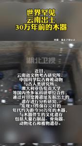 世界罕见，云南出土30万年前的木器