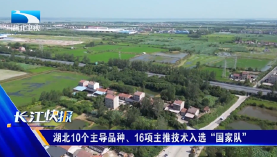 湖北10个主导品种、16项主推技术入选“国家队”