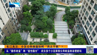 长江关注：小区公共收益如何“用之于民”？