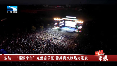 安陆：“摇滚李白”点燃音乐汇 暑期商文旅热力迸发