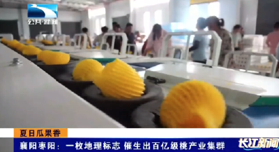 襄阳枣阳：一枚地理标志 催生出百亿级桃产业集群