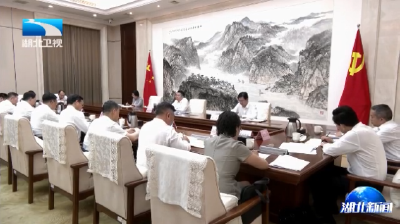 蔚盛斌强调 保持紧抓不放 提升治理欠薪工作成效