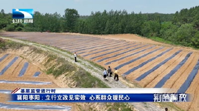 基层监督进行时丨襄阳枣阳：立行立改见实效  心系群众暖民心