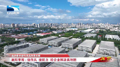 高质量党建引领高质量发展∣襄阳枣阳：强作风 提能力 给企业解决真难题