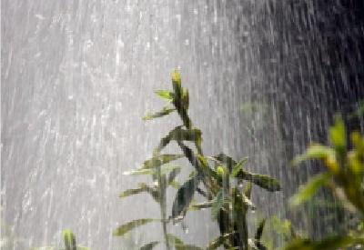 未来三天台风“丹娜丝”暂缓高温 湖北这些地区警惕暴雨突袭