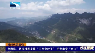 新时代的我们丨余遨洋：帮扶村民发展“三片金叶子”  把荒山变“金山”