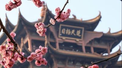 楚风汉韵，“融”铸风流|新华走笔