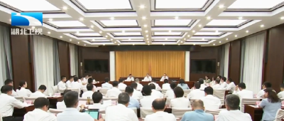 张文兵强调 提升支点建设创新策源力 推动科技创新与产业创新深度融合