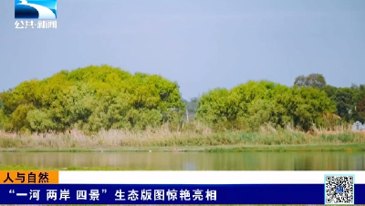 人与自然｜“一河 两岸 四景”生态版图惊艳亮相