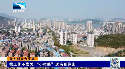 我为群众办实事 | 黄石西塞山区：找工作不发愁   “小蜜蜂”送岗到你家  