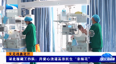 又见格桑花开丨湖北援藏工作队：用爱心浇灌高原民生“幸福花”