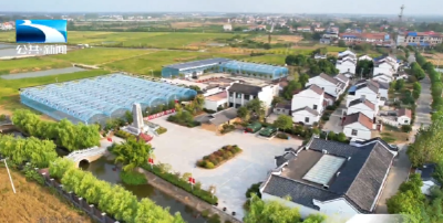 清风荆楚·与廉同行 | 王新亭：军政兼优的一代名将