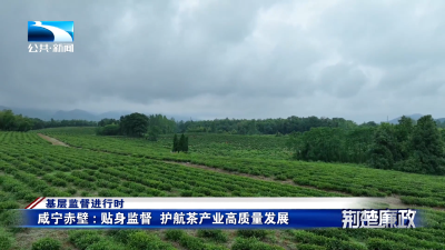 基层监督进行时｜咸宁赤壁：贴身监督 护航茶产业高质量发展