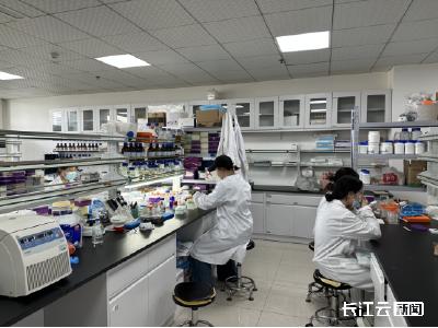 学生暑期科研实践不停歇，江汉大学夏日送关怀
