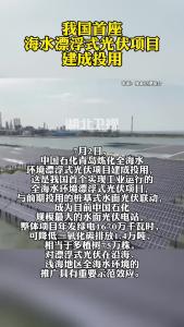 我国首座海水漂浮式光伏项目建成投用
