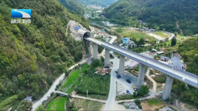 2025年7月30日湖北新闻