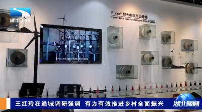 王红玲在通城调研强调 有力有效推进乡村全面振兴