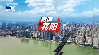 直通襄阳 | 市县抱团联动发展 百亿级磷化工项目落子襄阳