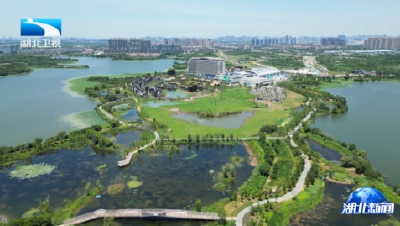 知音湖北 缤纷夏日丨武汉新添四季玩水乐园