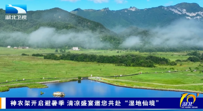 神农架开启避暑季 清凉盛宴邀您共赴“湿地仙境”