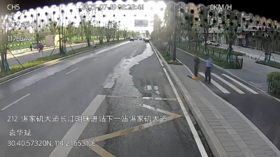 八旬老人倒在路边 公交司机出手相助