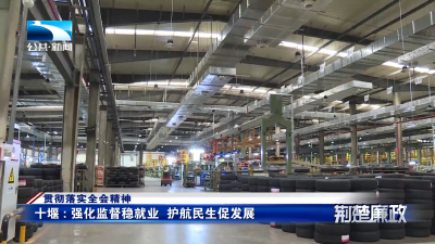 贯彻落实全会精神｜十堰：强化监督稳就业 护航民生促发展