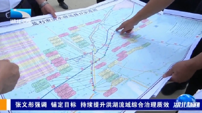张文彤强调 锚定目标 持续提升洪湖流域综合治理质效