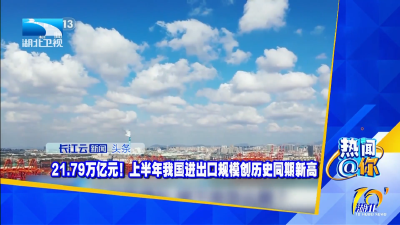 21.79万亿元！上半年我国进出口规模创历史同期新高