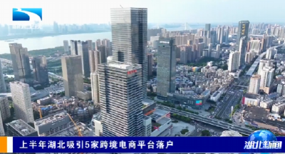 上半年湖北吸引5家跨境电商平台落户