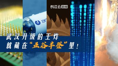 微距海报丨武汉升级的王炸 就藏在“五谷丰登”里！