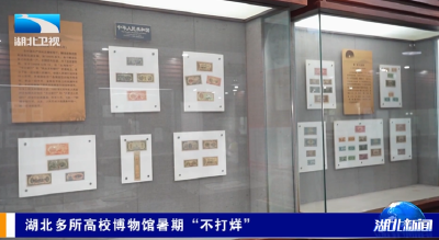 湖北多所高校博物馆暑期“不打烊”