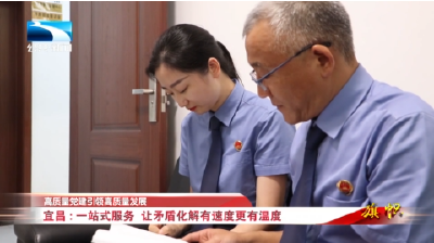 高质量党建引领高质量发展丨宜昌：一站式服务 让矛盾化解有速度更有温度