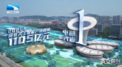 支点观察·AI相对论丨数说湖北AI硬实力