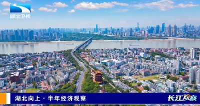湖北向上·半年经济观察 | 湖北上半年新增贷款5808亿元 金融创新赋能实体经济