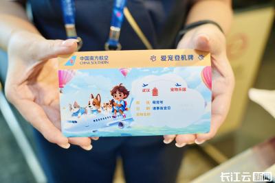 武汉迎接首个客舱宠物旅客