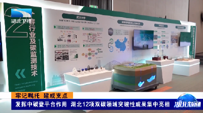 牢记嘱托 建成支点丨发挥中碳登平台作用  湖北12项双碳领域突破性成果集中亮相