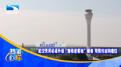 武汉天河机场升级“宠物进客舱”服务 可预约加购座位